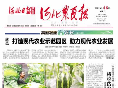 燕赵农村报登报挂失