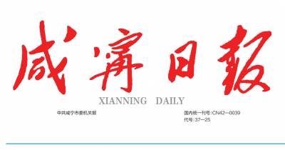 咸宁日报登报电话