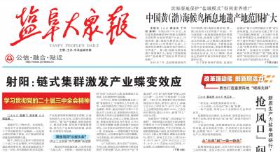 盐阜大众报登报挂失