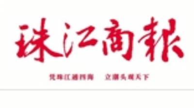 珠江商报登报挂失
